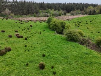 41.6 Acres (approx.) At Grange, New Inn, Ballinasloie, Co. Galway, Kitconnell, Co. Galway - Image 3