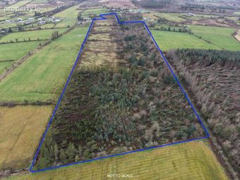 C. 20.88 Acres, Foughil, Trien, Castlerea, Co. Roscommon, Trien, Co. Roscommon - Image 3