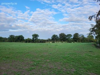 Rynn Rosenallis, Rosenallis, Co. Laois - Image 3