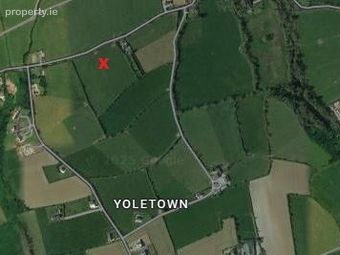 Boher Boy, Yoletown, Ballycullane, Co. Wexford - Image 2