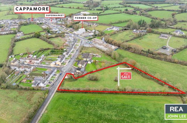 Turagh, Cappamore, Co. Limerick, Cappamore, Co. Limerick - Click to view photos