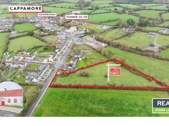 Turagh, Cappamore, Co. Limerick, Cappamore, Co. Limerick - Image 3