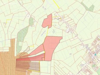 Lands At Corrabawn, Drumlish, Co. Longford - Image 2