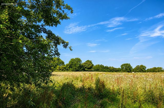 4.5 Acres, Thomastown, Kilcullen, Co. Kildare - Click to view photos