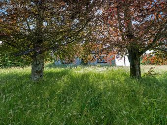 Cordalea, Killashandra, Co. Cavan, Killeshandra, Co. Cavan - Image 5