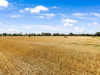 Attractive 22.5 Acre Farm, Cloncullen, Robinstown, Trim, Co. Meath, Robinstown, Co. Meath - Image 4
