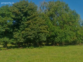 Clonkeen, Killoran, Ballinasloe, Co. Galway, Killoran, Co. Galway - Image 3