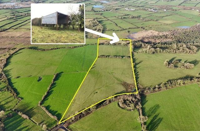 15.93 Acres (approx.) At Cloonrane, Strokestown, Co. Roscommon, Strokestown, Co. Roscommon - Click to view photos