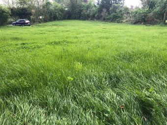 Lurriga, Patrickswell, Co. Limerick, Patrickswell, Co. Limerick - Image 4