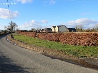 1.902 Acre / 0.77 Hectare Site, Forest, Athy, Co. Kildare, Athy, Co. Kildare - Image 5