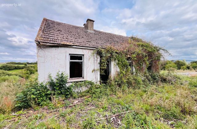 Garrynalyna, Galbally, Co. Limerick, Galbally, Co. Limerick - Click to view photos