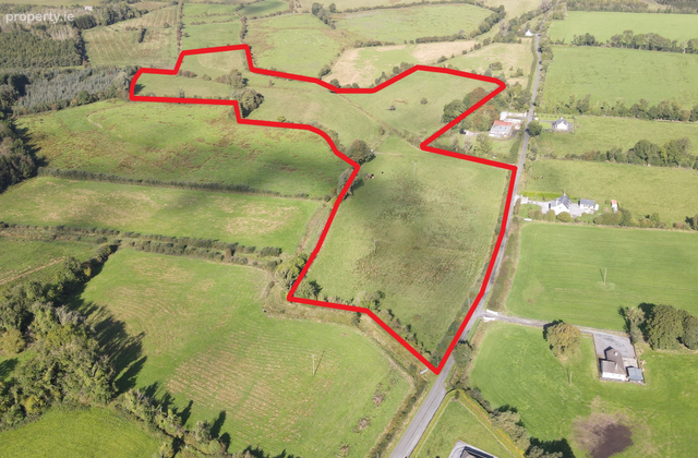 Clonwhelan, Edgeworthstown, Co. Longford - Click to view photos