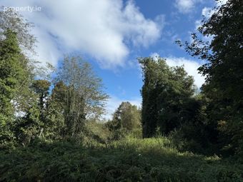 Killinagh, Carbury, Co Kildare, Carbury, Co. Kildare - Image 2