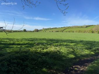 Land C. 57 Acres / 23 Ha. Milltown, Dunlavin, Co. Wicklow - Image 4