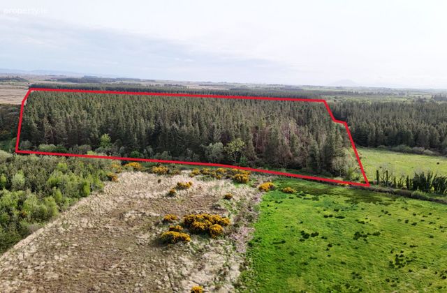 Kilmacurkan, Easkey, Co. Sligo - Click to view photos