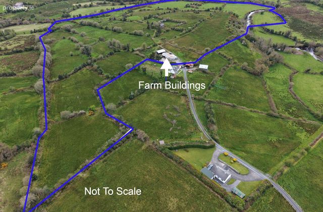 Derelict Residence &amp; Farm Buildings C. 41.44 Acres, Corgorman, Arigna, Co. Roscommon, Arigna, Co. Roscommon - Click to view photos