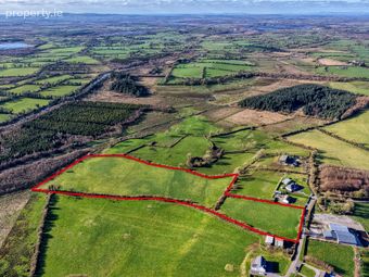 Carrowmanagh, Longford, Danesfort, Co. Longford - Image 4