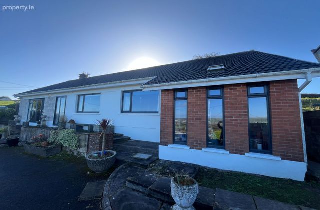 Thorn Field, Ballynora, Ballinora, Co. Cork - Click to view photos