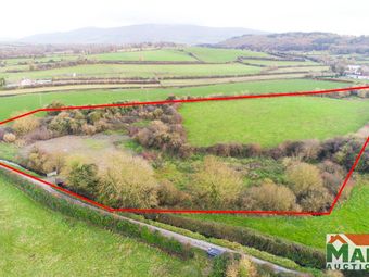 Jesuits Walk, Garrinch, Fethard, Co. Tipperary - Image 3