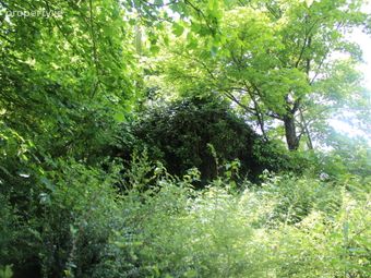 Derelict Cottage On 1 Acre, Seskinryan, Bagenalstown, Co. Carlow, Seskinryan, Co. Carlow