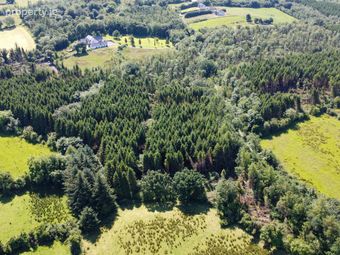 Drumroragh, Ballyjamesduff, Co. Cavan