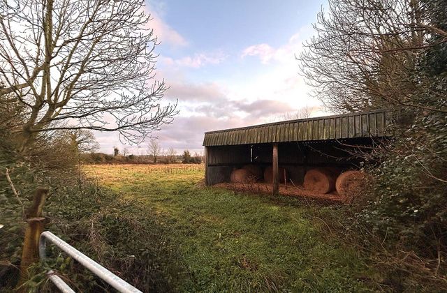Ballintemple, Walsh Island, Co. Offaly, Walsh Island, Co. Offaly - Click to view photos