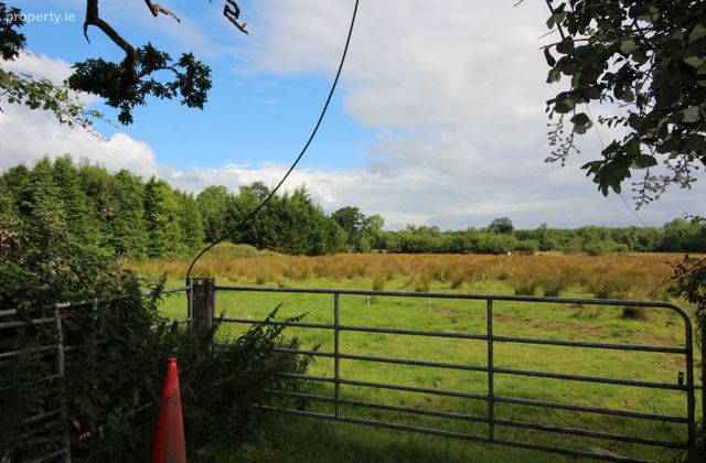 Limerick Road, Newport, Newport, Co. Tipperary - Click to view photos
