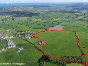 Arragurtin (c. 63 Acres), Gorey, Co. Wexford, Courtown, Co. Wexford - Image 3