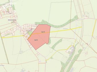 C. 16 Acres, Moorhill, Brannockstown, Naas, Co. Kildare - Image 5