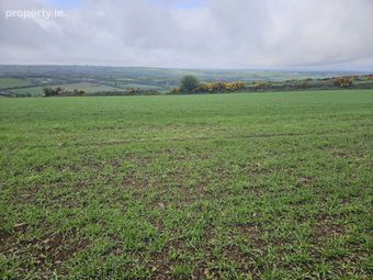 Ballyhooleen, Ballinhassig, Co. Cork - Image 4