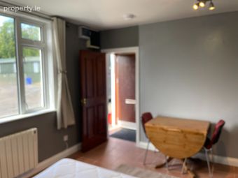 Rahilla, Kildare, The Curragh, Co. Kildare - Image 2