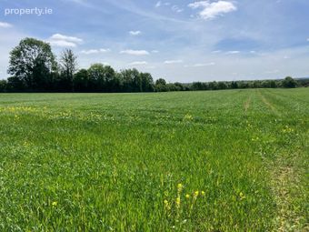 Clonmore, Tullamore, Co. Offaly