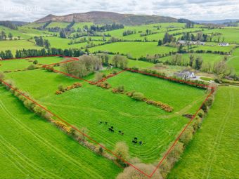 Lackendarra, Anglesboro, Kilmallock, Co. Limerick, Anglesboro, Co. Limerick - Image 3