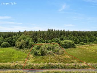Lot 1 Plot Of Land Derrynacarragh, Folio Ce32601f, Kilmaley, Ennis, Co. Clare, Ennis, Co. Clare - Image 2