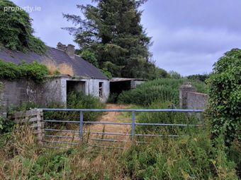 Toomard, Newbridge, Co. Galway - Image 5