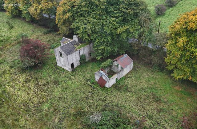 Kilmurry, Castleplunket, Co. Roscommon, Lissalway, Co. Roscommon - Click to view photos