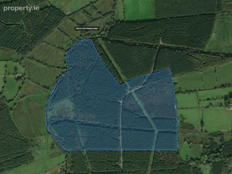 Ballycoony, Kilchreest, Loughrea, Co. Galway