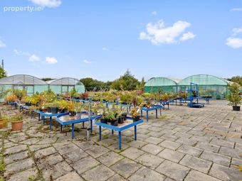 Ballykelly Garden Centre On 5.6acres, Killinick, Co. Wexford, Killinick, Co. Wexford - Image 3
