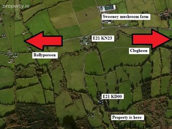 C.53 Acres Forrest, Rearoe, Clogheen Near, Mitchelstown, Co. Cork - Image 3