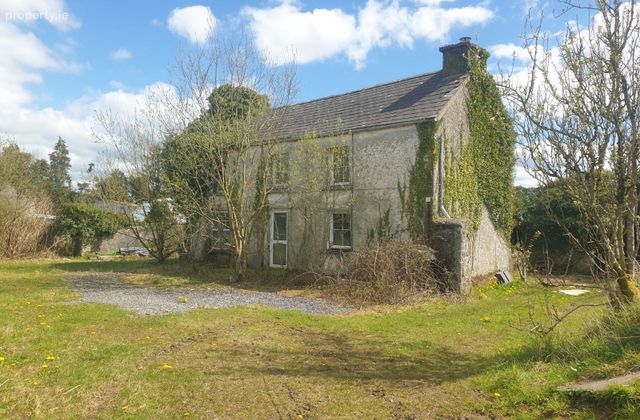 Ballagh, Knockcroghery, Co. Roscommon - Click to view photos