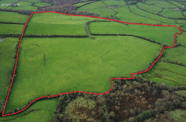 C.50ac Killylaragh, Emyvale, Co. Monaghan - Click to view photos