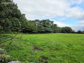 Derrada, Partry, Ballinrobe, Co. Mayo - Image 3