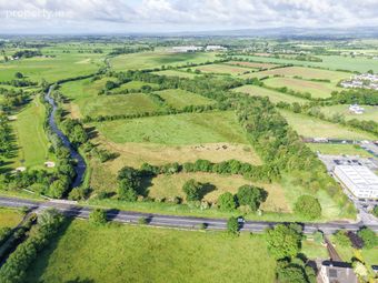 C. 43 Acres, Turtulla / Clongour, Thurles, Co. Tipperary, Thurles, Co. Tipperary - Image 4